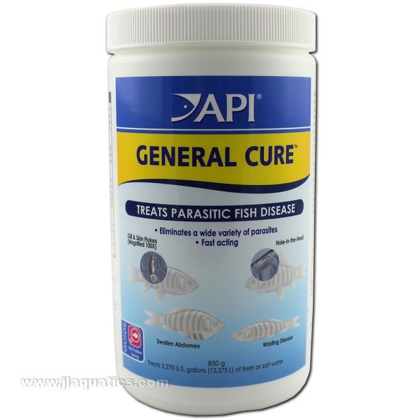 API General Cure, Treatment for Intestinal Parasites in Fish - Discus Fish